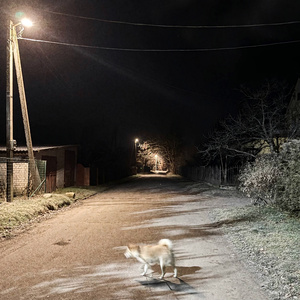 Послеобраз