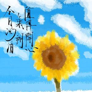 夏夜里的蝉和风