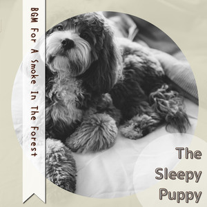 Crazy for the Barista