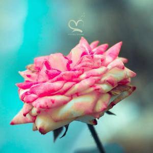 Voltas (feat. Kitoko Sound, Jazzy Rhodes & Kitoko Piano)