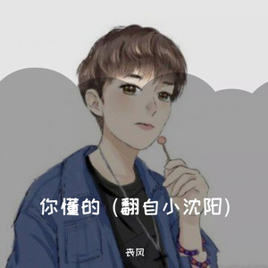 你懂的（翻自 小沈阳）
