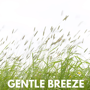 Gentle Breeze