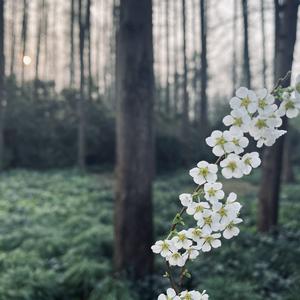 你是窗外另外一片风景
