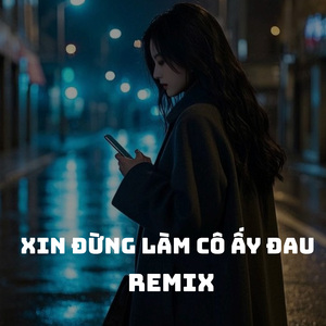 Xin đừng làm cô ấy đau (remix)