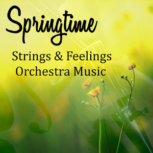 Ballade No. 1 In G Minor, Op. 23