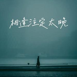 相逢注定太晚（看有风的日落）(烟嗓版)
