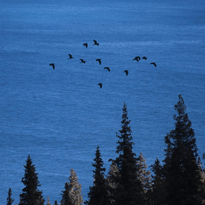其实没什么感觉