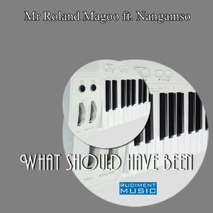 What Should Have Been (Original Mix)