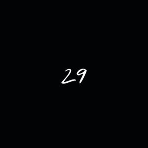 第29天