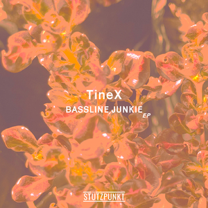 Bassline Junkie