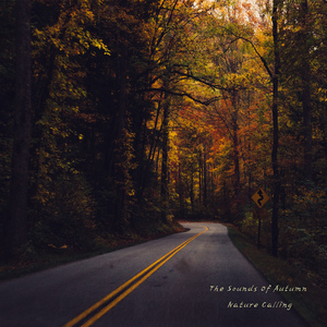 가을밤의 빗소리