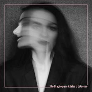 Meditação e Jardim Zen