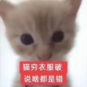 天ノ弱（钟琴ver.）