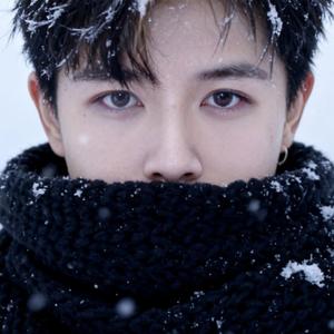 与你走过的四季