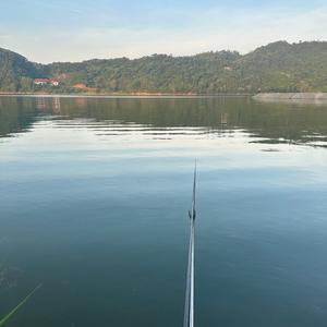 汪苏泷-忽而今夏（小猪呆呆不呆 remix）