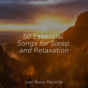 Neurotransmitter's Lullaby