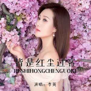 皆是红尘过客(DJ版)