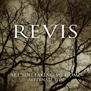 Are You Taking Me Home