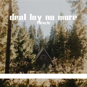 Deal lay no more（DJ版）（Miracle remix）