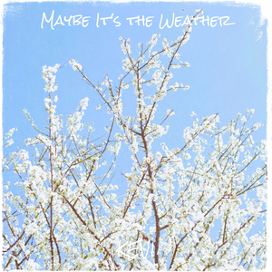 Maybe It's the Weather