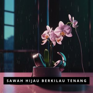 Padi bergetar ditiup angin