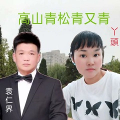 高山青松青又青