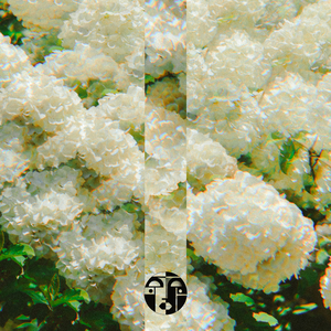 Ghosts From Another Universe