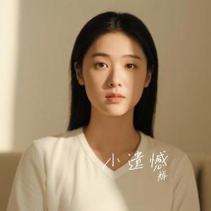 小遗憾