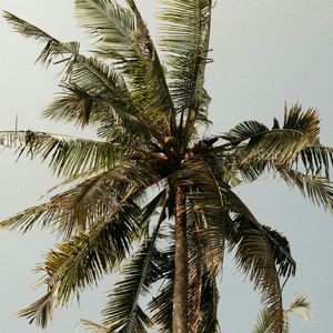 ความดีไม่ใช่ความรัก