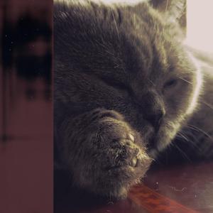 沾床睡(Prod.SSR Studio)