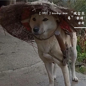 【FREE】boombap beat “现金交易”{散修}