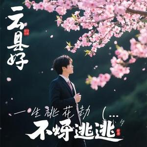 一生桃花劫