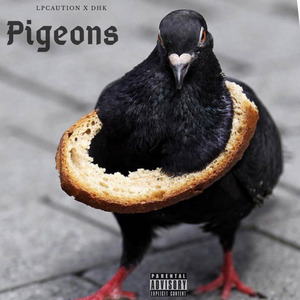 Pigeons