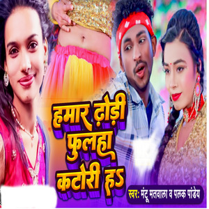 Hamaar Dhodhi Fulaha Katori Ha