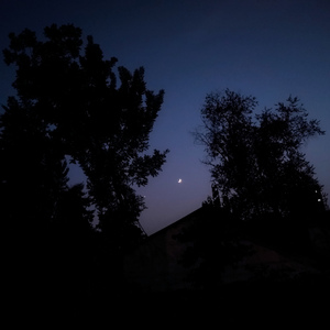 你眸中有一个宇宙（翻自 池年）