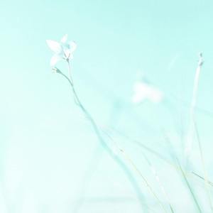 道听涂说（翻自 林芯仪）