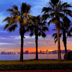 几人份的畅谈(cover.颜人中)