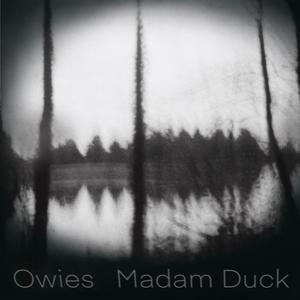 Madam Duck