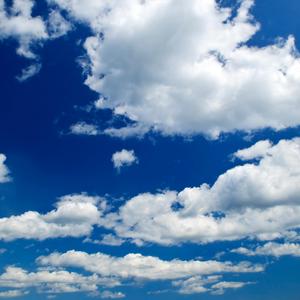 Blood V2 Bay Area Beat