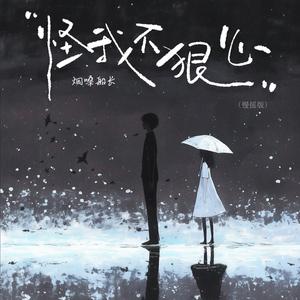 怪我不狠心 (慢摇版)
