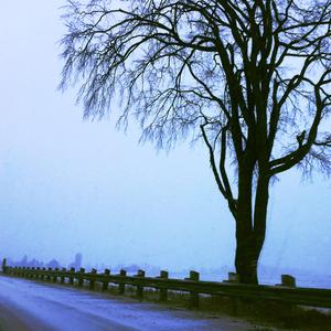 Listless and Blissless