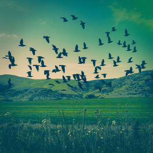 계속해서 우리는 걸어가