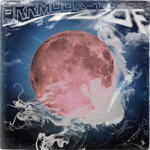 Roof (feat. Brrmuda & TE)