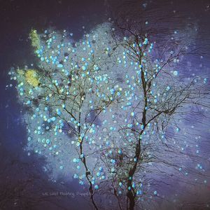 在死後五年的又一個冬季我忘卻了15歲夏日裏安撫以外的倦怠