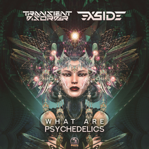 What Are Psychedelics (Original Mix)
