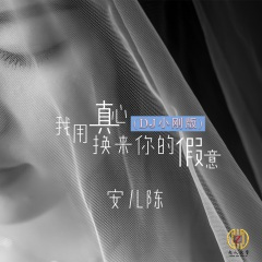 我用真心换来你的假意 (DJ小刚版)