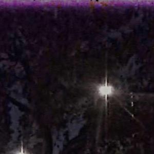 **** DEM HOES (feat. LIL BUCKSTA)