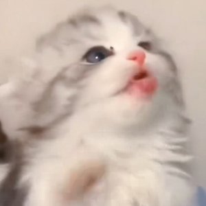 刹那烬