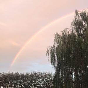 My Only One(翻自 郑中基）