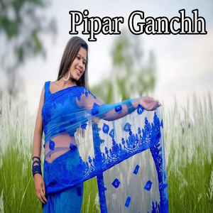 Pipar Ganchh
